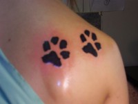 /album/galerie-photos/p5010002-jpg/